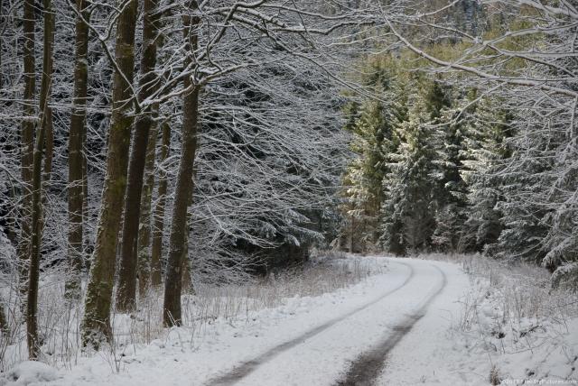 Snow road with tracks